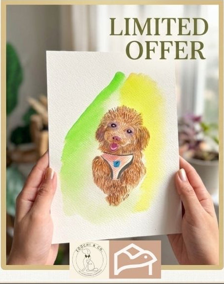 Promotional banner for a limited offer with pet products and a free portrait offer.